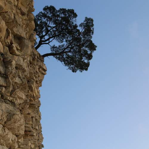 Photo #13378193