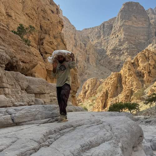 Photo #13378264