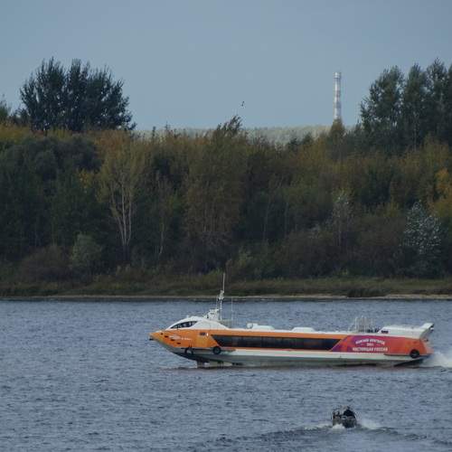 Photo #13378288
