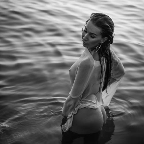 Photo #13378453