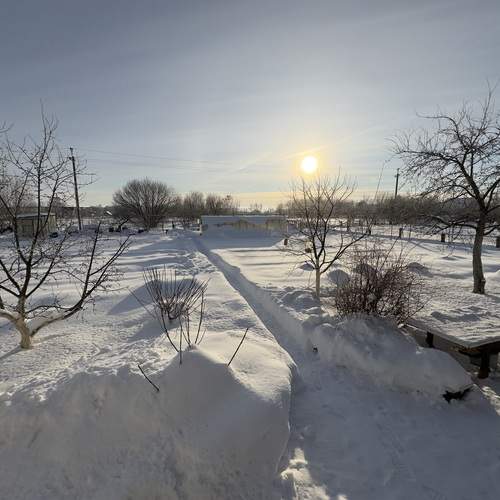 Photo #13378455