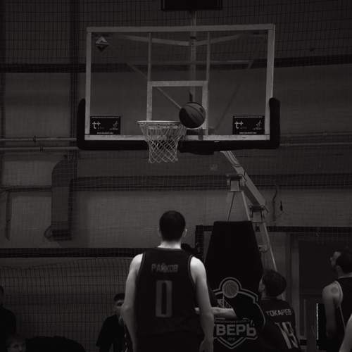 Photo #13378503