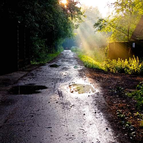 Photo #13378562