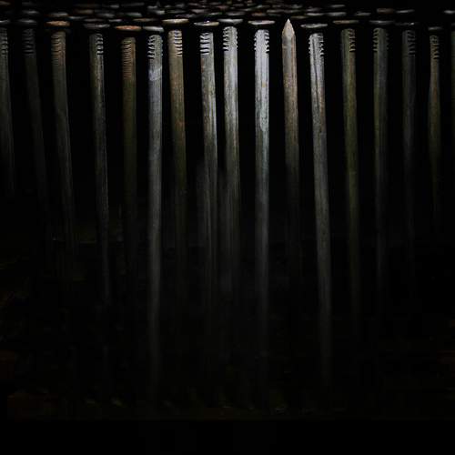 Photo #13378643