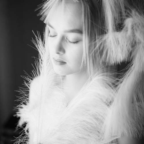 Photo #13378686