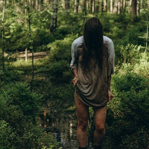 Photo #13378687