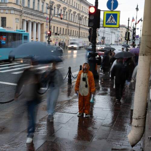 Photo #13378801