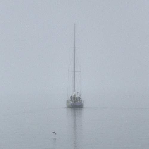 Photo #13378980
