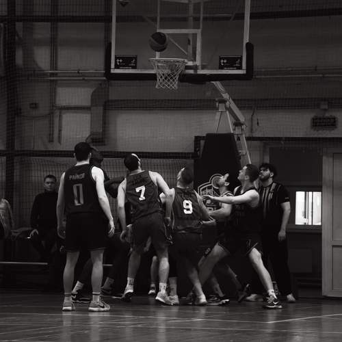 Photo #13379049