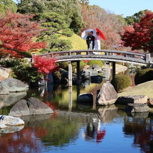 Осенняя гармония