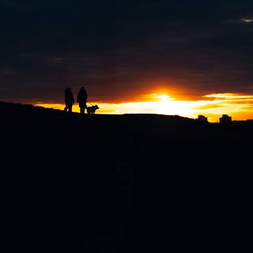 Photo #13379194