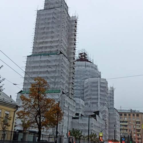 Photo #13379246