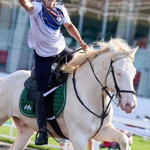Photo #13379457