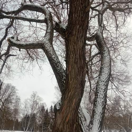 Photo #13379469