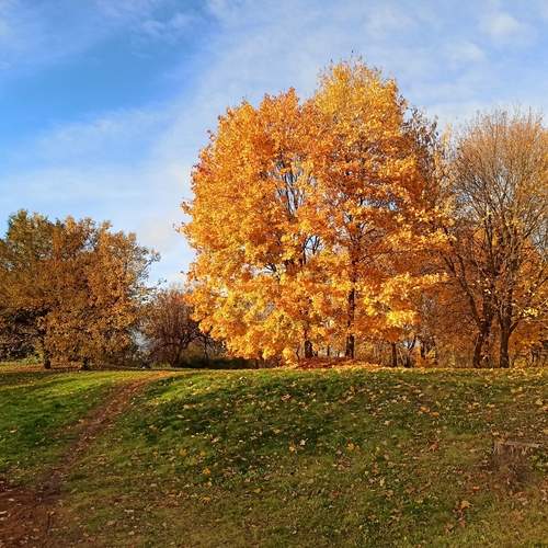 Царская осень