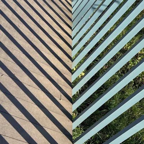 Photo #13382001