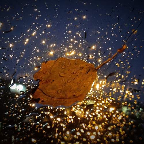 Photo #13382105