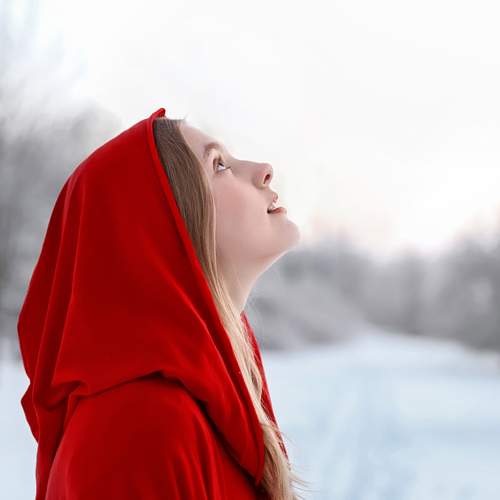 Photo #13382262