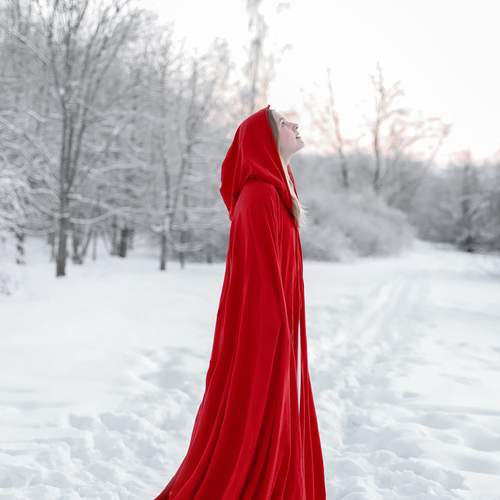 Photo #13382263