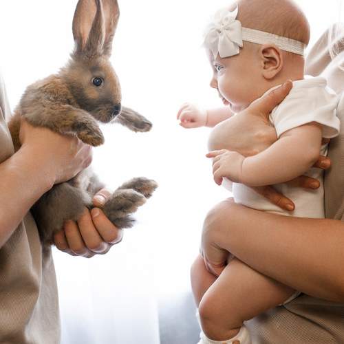 Photo #13382369