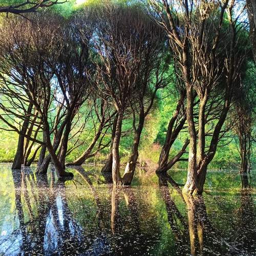 После снежной зимы