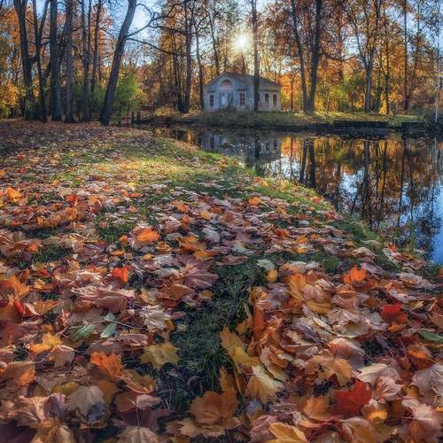 Фотография #13382542