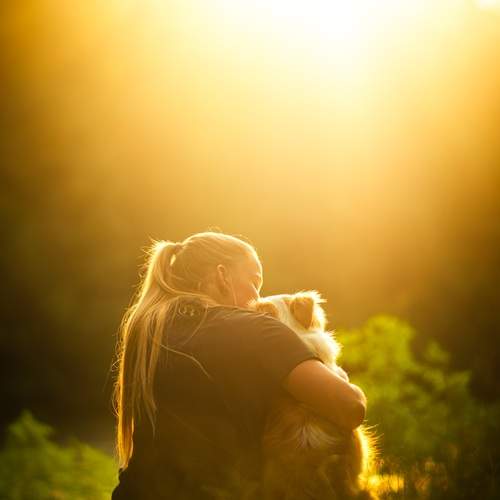 Photo #13382597