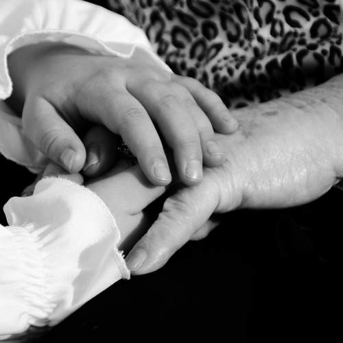 Photo #13382619