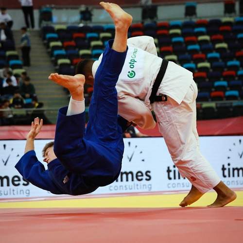 Photo #13382840