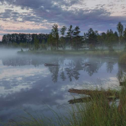 Фотография #13382859