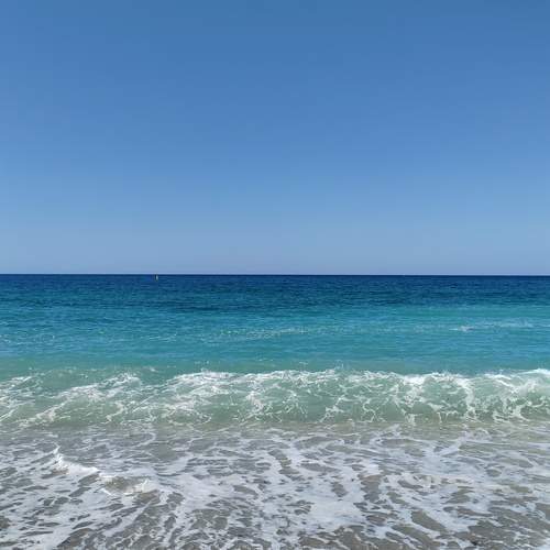Photo #13382897