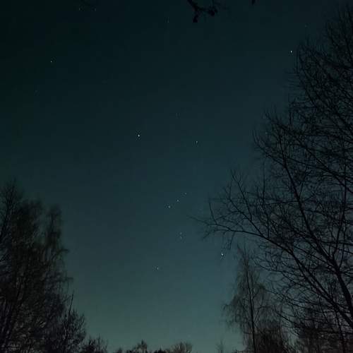 Photo #13382910