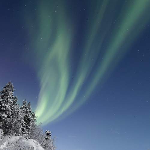 Photo #13383027