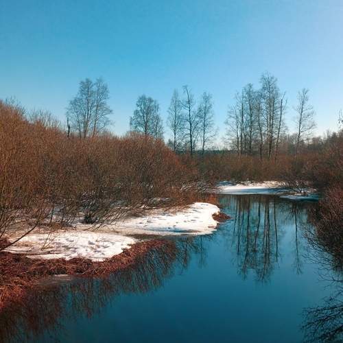 Photo #13383185