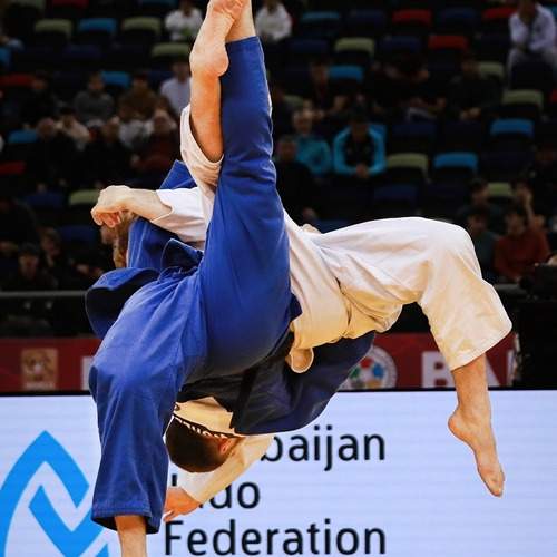 Photo #13383236