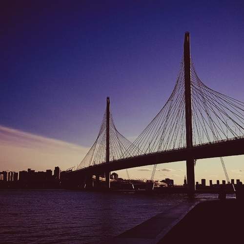 Photo #13383260