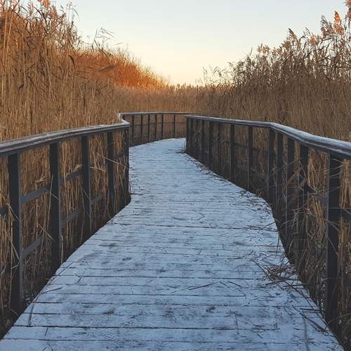 Photo #13383261