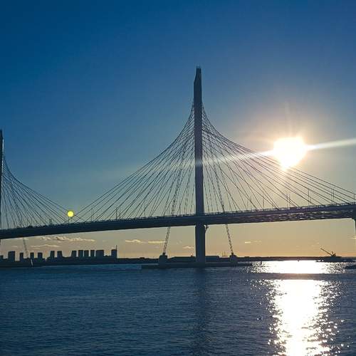 Photo #13383262