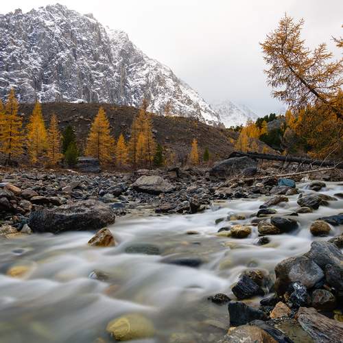 Photo #13383276