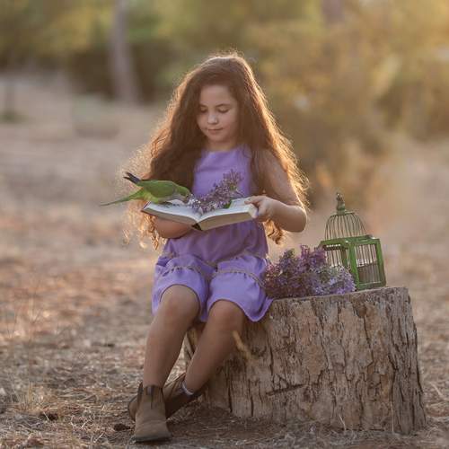 Photo #13383358