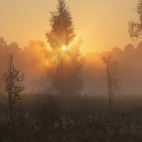 Фотография #13383367