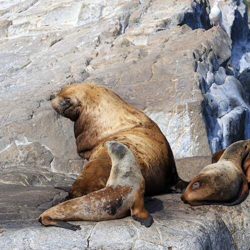 Тихий час, прошу не беспокоить.