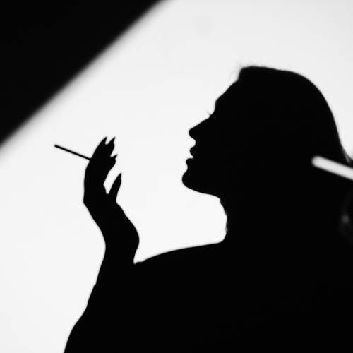 Фотография #13383386