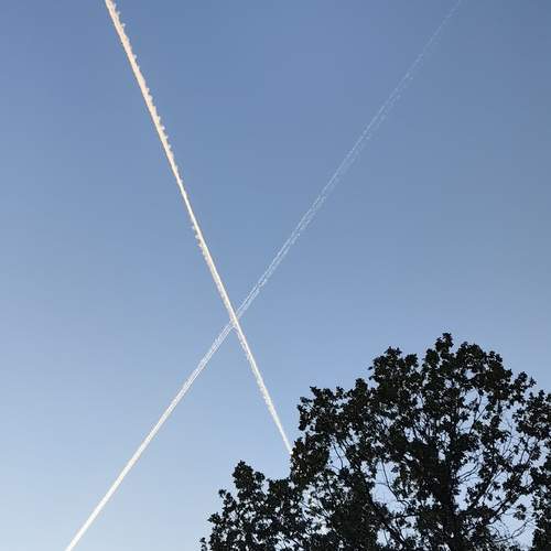 Photo #13383454