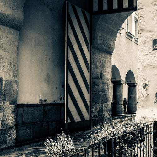 Photo #13383467