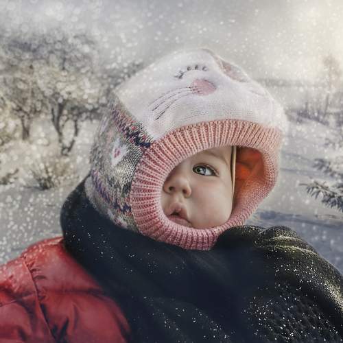 Photo #13383514