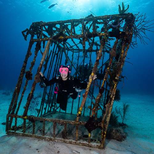 The Cry the Ocean Keeps