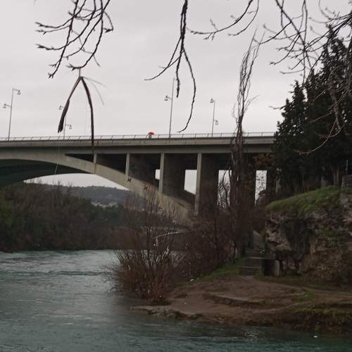 Photo #13383590