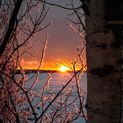 Photo #13383597