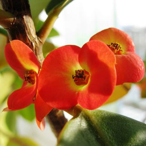 Photo #13383624